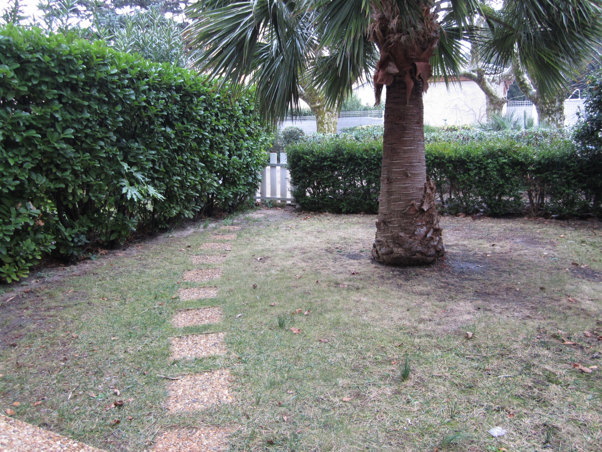 Réfection chemin de pas japonais dans petit jardin de ville, Marseille, 13011 Vert Tige